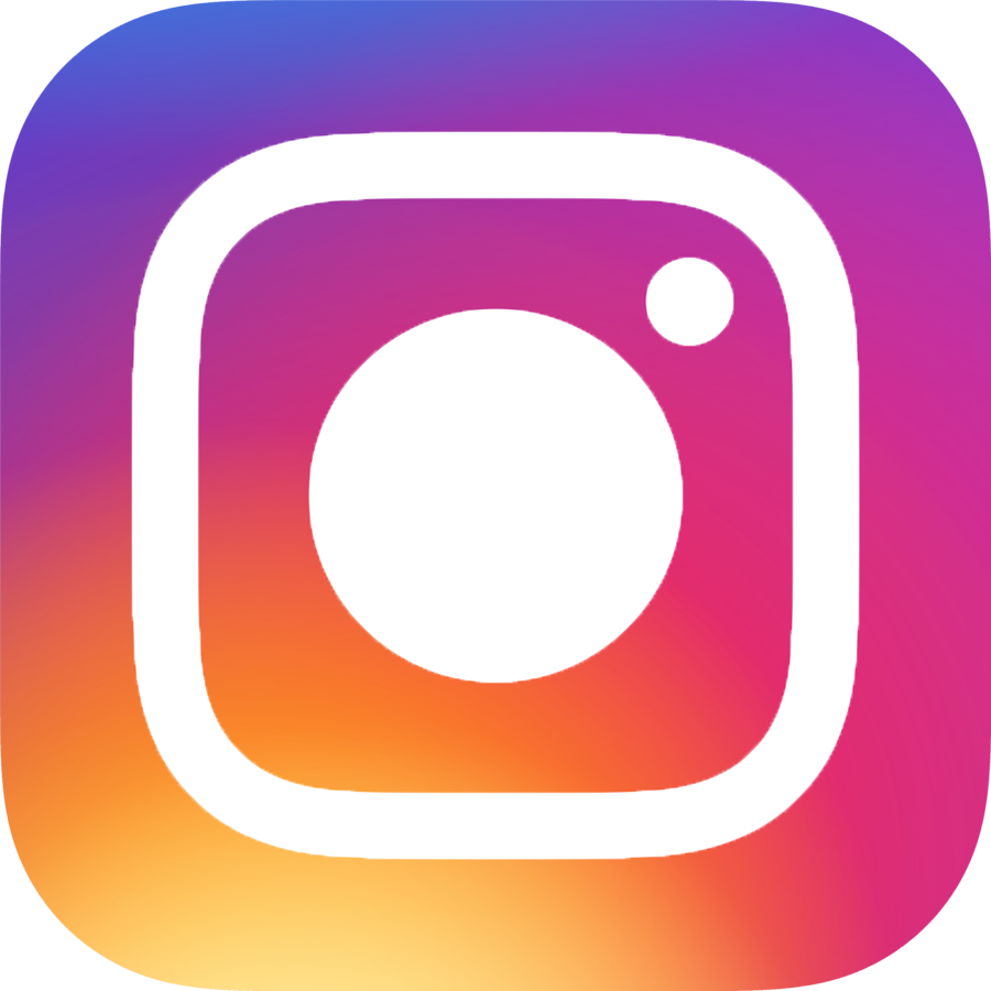Instagram Icon 100x100