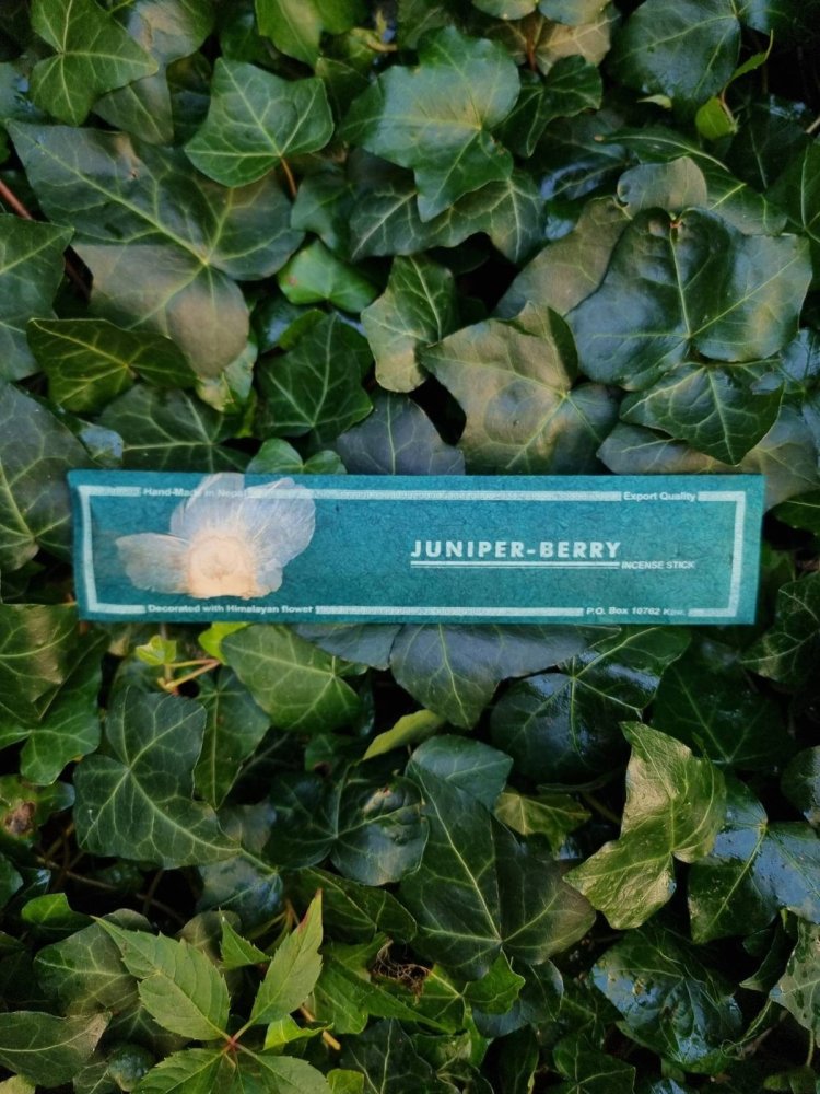 Natural HIMALAYAN FLORA incense - JUNIPER BERRY
