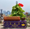 Ayurvedic incense Smoke Therapy: Stress - Relief with Valerian